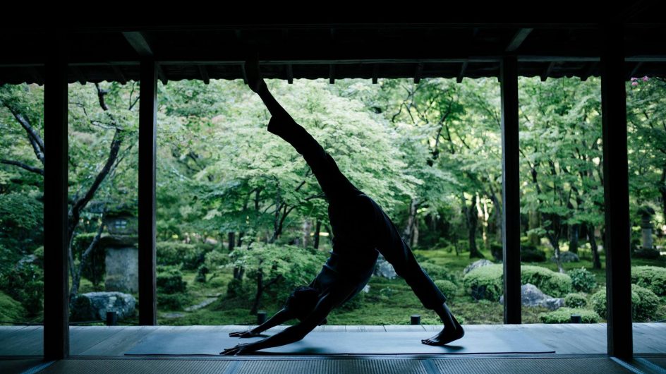 特別ＷＳ『究極のヴィンヤサフローWS』@Will Yoga
